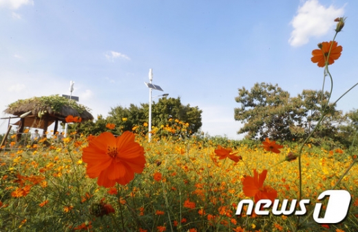 오늘날씨. /사진=뉴스1
