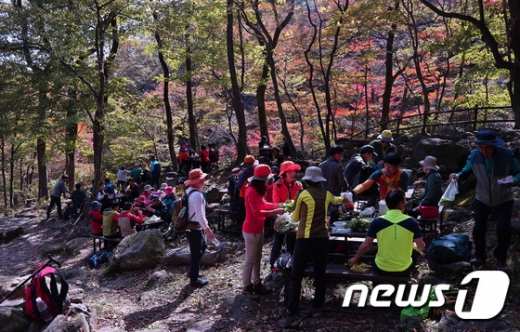 아웃도어 의류를 입은 등산객들. /사진=뉴스1