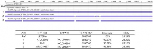 ./사진=제테마