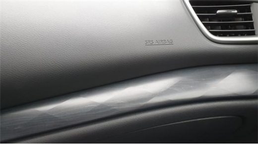 맥시마./사진=전민준 기자 