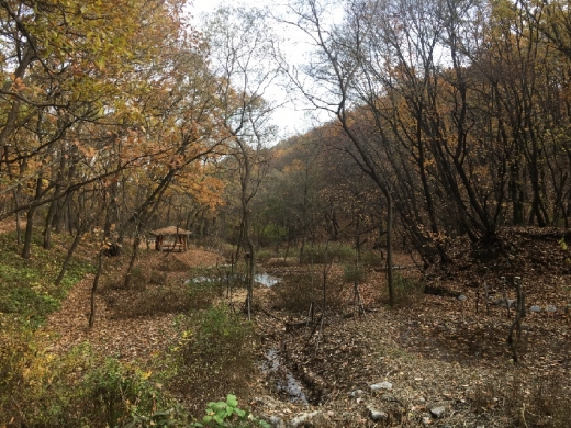반딧불이 생활터 복원한 금토산 판교공원 현장. / 사진제공=성남시