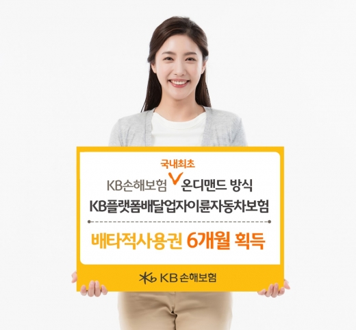 /사진=KB손해보험