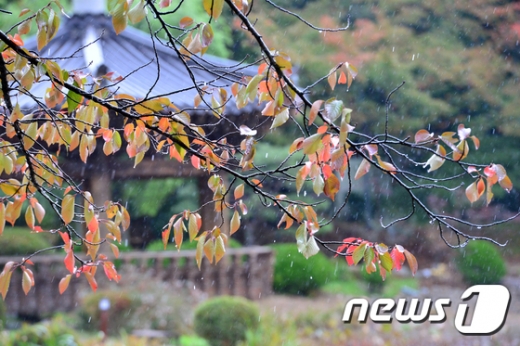 내일날씨. /사진=뉴스1