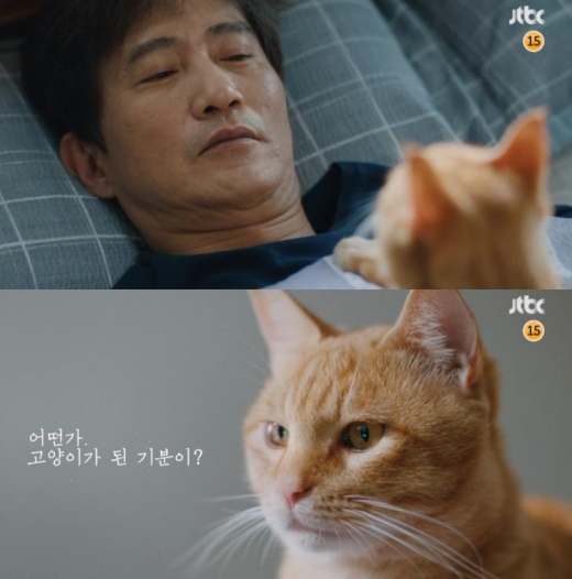 루왁 뜻. /사진=루왁인간 방송캡처
