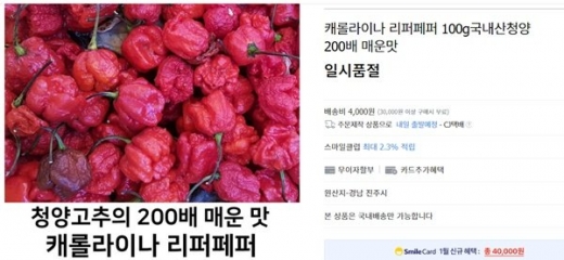 매운맛 성지 돈가스집 