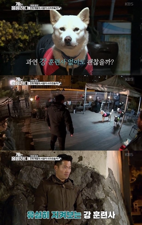 강형욱 훈련 성공 모습. /사진=KBS 2TV 개는 훌륭하다 방송 캡처  