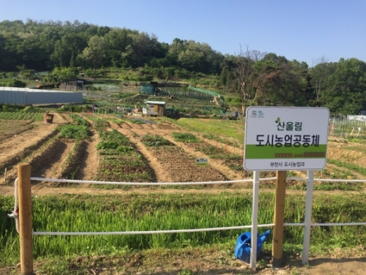 부천시 도시농업체험장(시민농장). / 사진제공=부천시