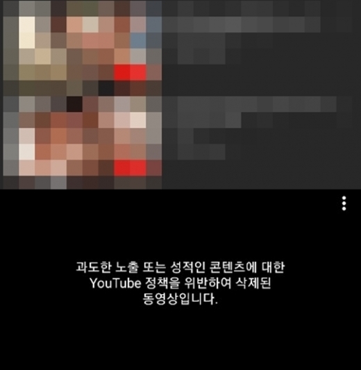 28일 오전 실시간 방송으로 업로드 됐던 성인물들. /사진=온라인커뮤니티 및 실시간 유튜브 영상 캡처