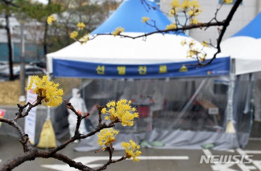 서울 관악구청이 신종 코로나바이러스 감염증(코로나19) 확진 판정을 받은 8, 9, 10번째 확진자의 동선을 공개했다. /사진=뉴시스  