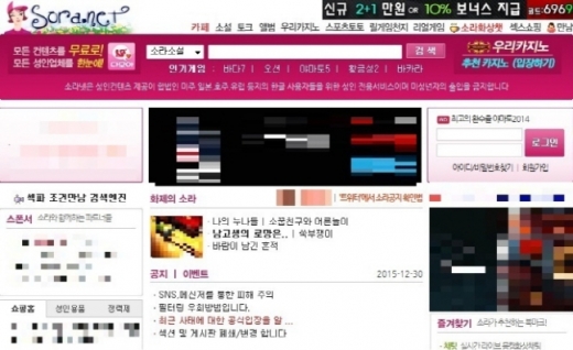 폐쇄 전 소라넷 홈페이지 모습. /사진=소라넷 홈페이지 캡처