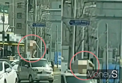 울산 도심 한복판에 나체의 남성이 등장해 온라인 커뮤니티에서 화제가 되고 있다. /사진=온라인 커뮤니티 캡처