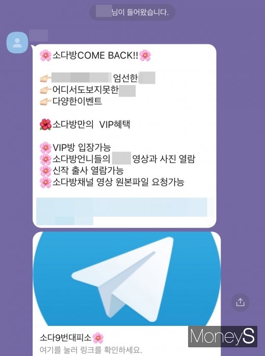 텔레그램 n번방 사건 수사가 이제 막 시작되는 시점, 이와 비슷한 텔레그램 대화방이 또 등장해 파장이 일고 있다. /사진= 제보자 제공 