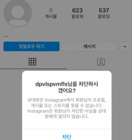 브라운아이드걸스 멤버 가인이 텔레그램 n번방 ‘박사’라고 알려진 조주빈을 차단했다. /사진=가인 인스타그램 캡처  
