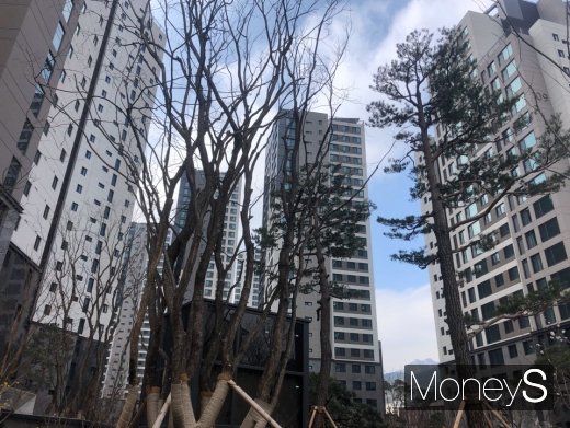 과천푸르지오써밋./사진=김노향 기자