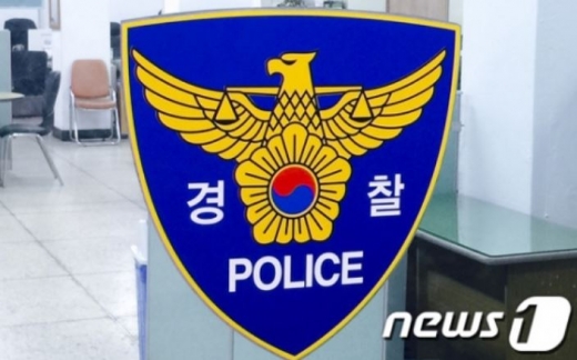 서울의 한 놀이공원에 가기 위해 아버지 차량을 몰래 타고 나갔다가 사고를 낸 여중생 등이 경찰에 붙잡혔다. /사진=뉴스1  