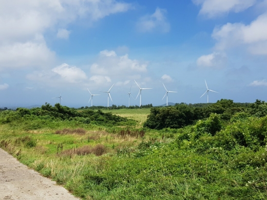 제주 제주시 한국중부발전 제주발전본부 상명풍력발전소. 이 사진은 기사 내용과 관련없음. /사진=머니투데이