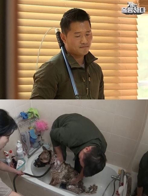 강형욱이 공격성을 가진 반려견의 훈련을 걱정하는 보호자에게 조언을 건넸다. /사진=KBS2TV 제공