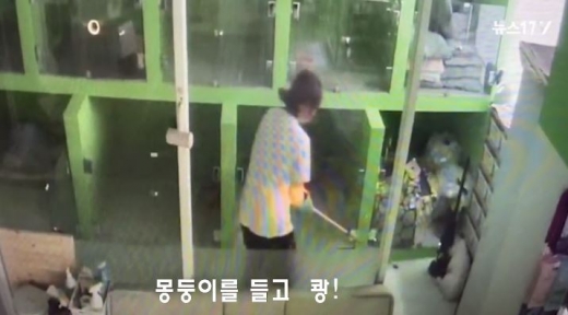 경기도 구리시의 한 애견호텔에서 충격적인 일이 발생했다. /사진=뉴스1TV 캡처   