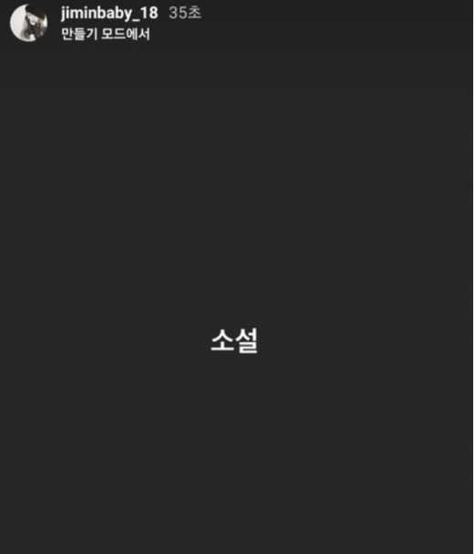 권민아의 폭로 이후 지민은 자신의 SNS에 '소설'이라는 글을 남겼다. /사진=지민 인스타그램 캡처   