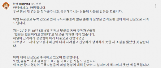 유명 유튜버 양팡이 최근 불거진 '뒷광고' 논란과 관련해 공식 사과했다. /사진=양팡 유튜브 채널 캡처