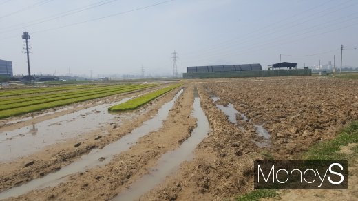 국토부가 3기신도시 정보를 한눈에 볼 수 있는 ‘3기 신도시 홈페이지’를 열었다. 사진은 3기신도지로 지정된 부천 대장지구 일대. /사진=김창성 기자