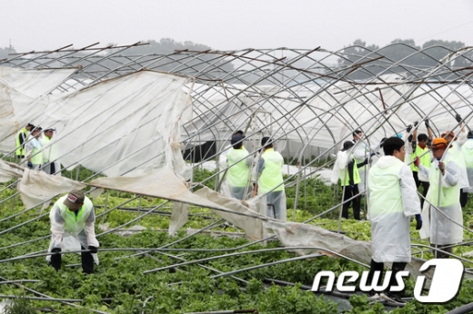 태풍이 북상 중일 경우에는 풍수해보험에 가입해도 보상을 받기 어렵다. 앞으로 다가올 다양한 재난피해를 대비하기 위해 풍수해보험은 미리 가입해두는 것이 좋다./사진=뉴스1DB
