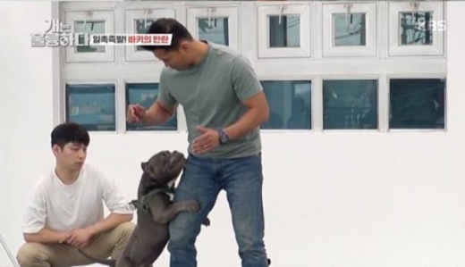 반려견 행동전문가 강형욱씨가 고민견에게 물리는 장면이 그대로 전파를 탔다. /사진='개훌륭' 방송캡처