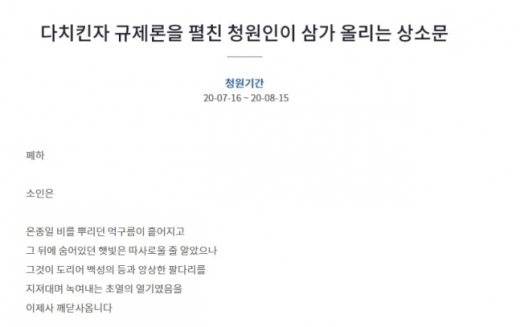 자신을 '조은산'이라고 지칭한 청원인이 올린 글은 이번 청원에 앞서 3개가 더 있었던 것으로 나타났다. /사진=청와대 국민청원 게시판 