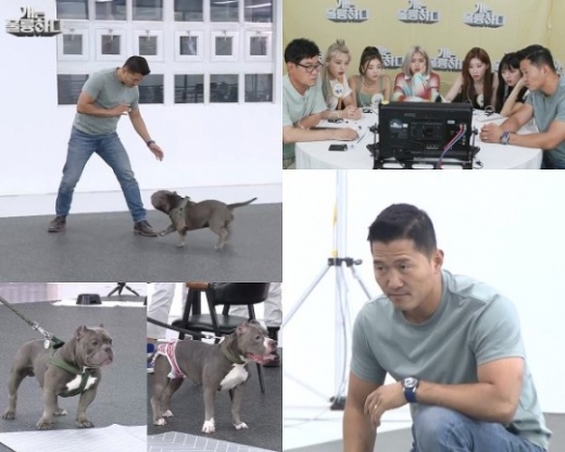 강형욱 훈련사가 고민견에게 물리는 사고를 당했다. /사진=KBS '개훌륭' 제공