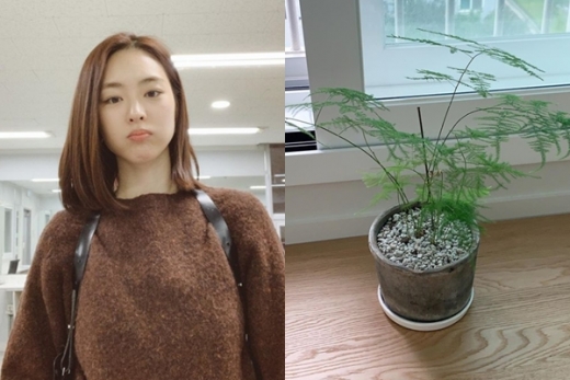 배우 이연희가 신혼 근황을 전했다. /사진=이연희 인스타그램