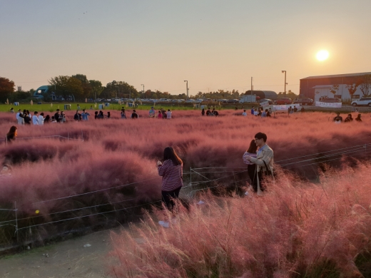 바람새마을. / 사진제공=평택시 