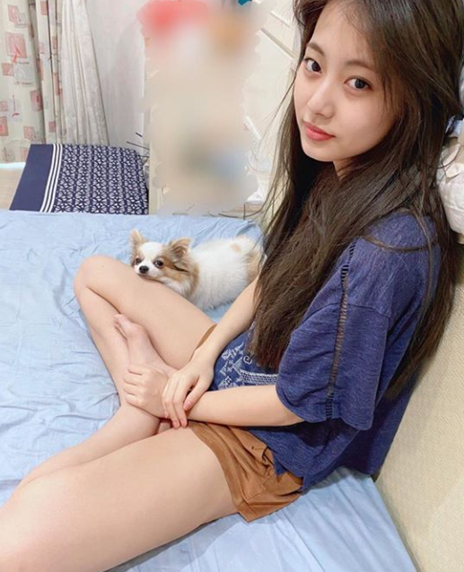쯔위는 지난 23일 트와이스 공식 소셜네트워크서비스(SNS)에 반려견 구찌와 이별했다고 전했다. /사진=트와이스 인스타그램 캡처   