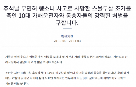 뺑소니 사고로 사망한 대학생의 유족이 고등학생 가해자를 엄벌해달라는 청원글을 작성했다. /사진=청와대 국민청원 홈페이지 캡처   