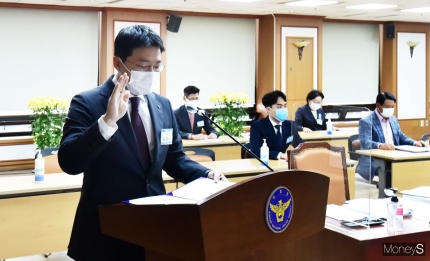 [2020 국감] 테슬라코리아 대표 