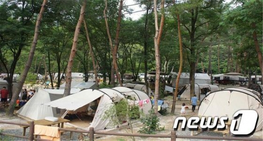 월악산 닷돈재야영장 모습. © News1