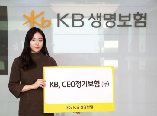 KB생명, 간편심사형 포함된 'CEO정기보험' 출시