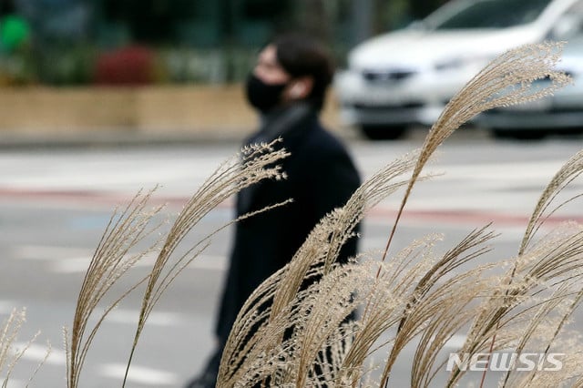 절기상 '첫눈이 내린다'는 소설(小雪)이자 일요일인 22일 충북지역은 대체로 흐리고 오전 한때 약한 빗방울이 내린 뒤 저녁부터 차차 맑아지겠다./사진=뉴시스
