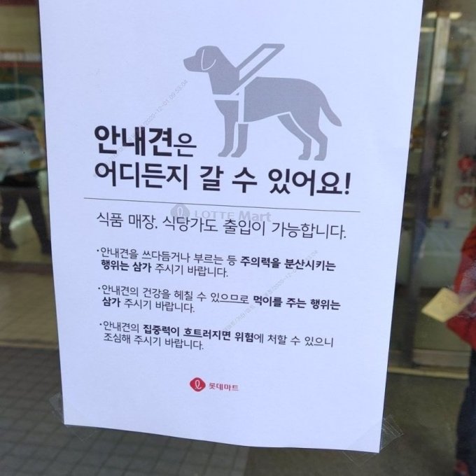 1일 온라인 커뮤니티에는 '오늘자 롯데마트에 붙은 안내문'이라는 제목으로 안내견 관련 공지가 적힌 사진 1장이 올라왔다. /사진=온라인 커뮤니티 캡처