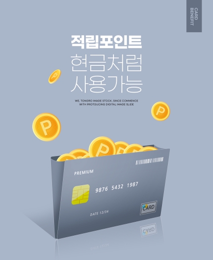5일부터 각 카드사에 흩어진 카드 포인트를 조회하고 현금으로 전환해 계좌에 입금할 수 있는 과정이 원스톱으로 가능해진다./사진=이미지투데이