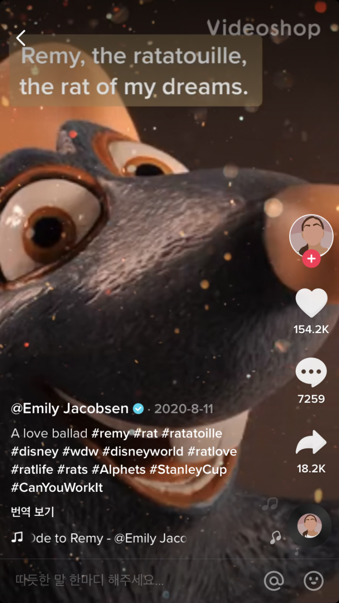 뉴욕의 한 초등학교 교사 에밀리 제이콥슨(Emily Jacobsen)는 지난해 8월 디즈니 애니메이션 라따뚜이의 주인공 레미(Remy)를 주제로 한 노래를 작사 작곡해 본인의 틱톡 계정에 게재했다. /사진=틱톡 캡처
