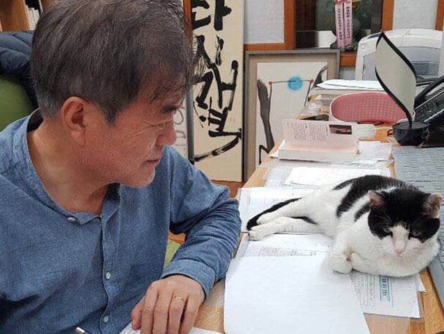 문재인 대통령이 설날인 12일 반려견과 반려묘와 함께한 일상을 전했다./사진=청와대