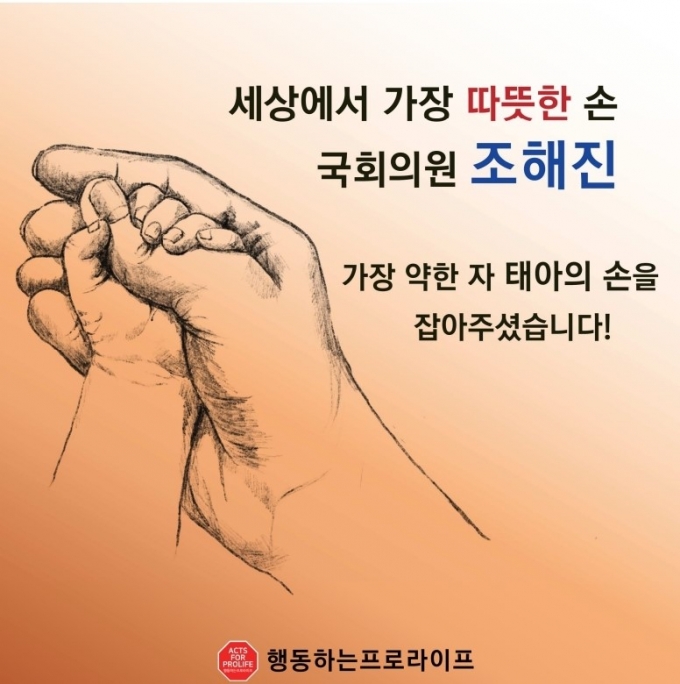 조해진 국회의원이 지난 26일 국회의원 회관에서 태아 생명을 존중하는 법안을 발의한 것과 관련, 생명 수호 단체로 활발한 활동을 하고 있는 시민‧사회단체인 '행동하는 프로라이프'로부터 현판을 전달받았다./사진=조해진 의원실 제공.