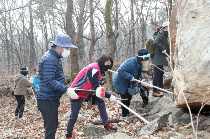 한대희 군포시장(왼쪽 파란색 점퍼)이 군포시청 공무원 자원봉사자들과 함께 수리산에서 바위밑 매미나방 알집을 제거하고 있다. / 사진제공=군포시