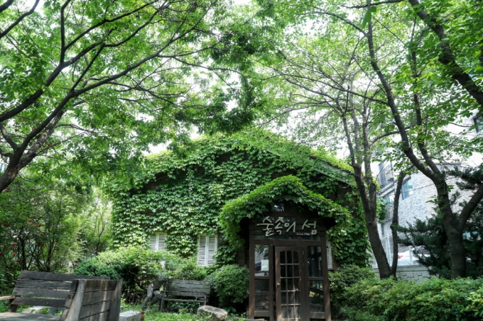 백마 화사랑. / 사진제공=고양시