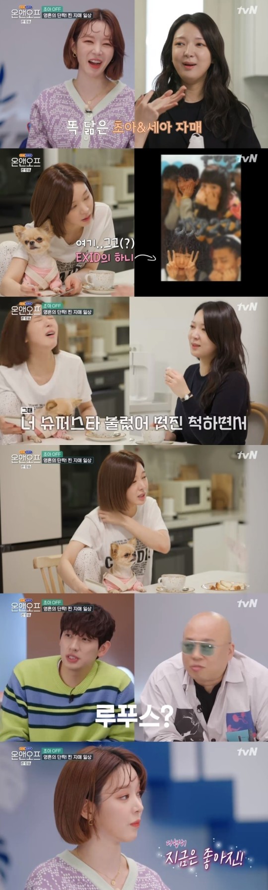 초아가 과거 루푸스 투병 사실을 고백했다. /사진=JTBC '온앤오프' 