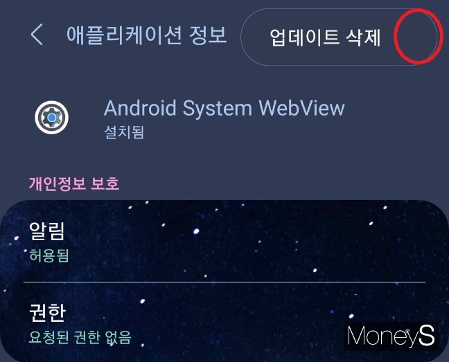 빨간 원 부분에 위치한 점 3개를 누르면 업데이트 삭제 메뉴가 뜬다. /사진=스마트폰 화면 캡처