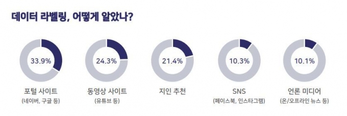 크라우드소싱 플랫폼 '크라우드웍스'가 데이터 라벨러들을 상대로 조사한 '데이터 라벨러 현황 분석' 자료(크라우드웍스 제공) © 뉴스1