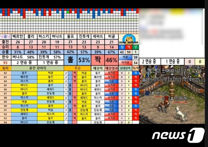 리니지 불법 사설서버에서 진행하는 투견게임이 온라인 방송 플랫폼을 통해 생중계되고 있다. 중계 화면에는 홀짝으로 나눠진 몬스터들의 승률 등의 정보가 공유되고 있다.  2021.5.21/뉴스1 © News1 박동해 기자