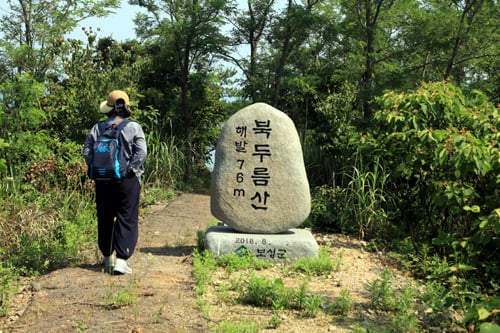 [가고 싶은 섬] 아낌없이 나누는 '갯벌의 섬' 보성 장도