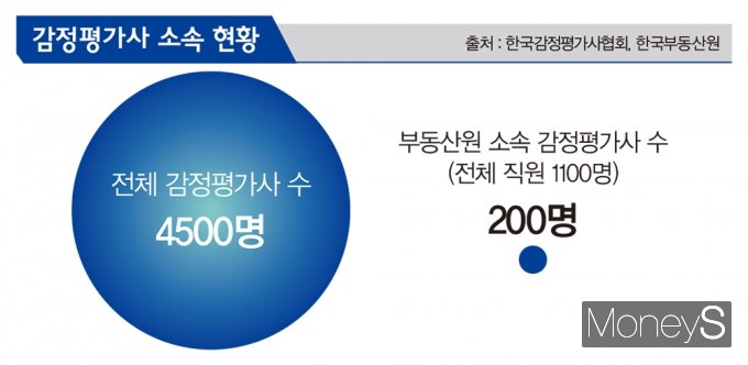 김영찬 디자인 기자